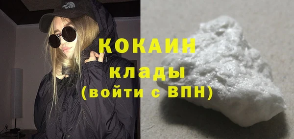 стафф Новозыбков