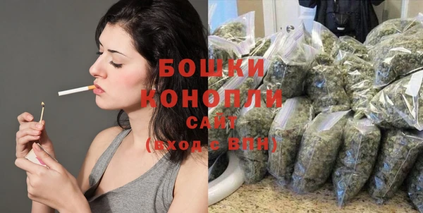 стафф Новозыбков