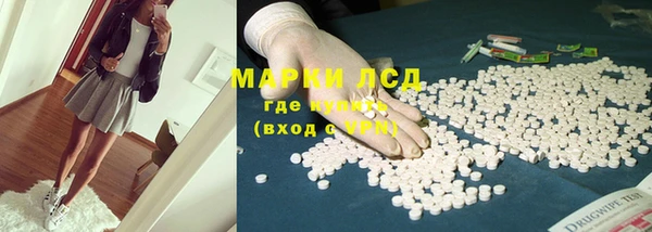 стафф Новозыбков