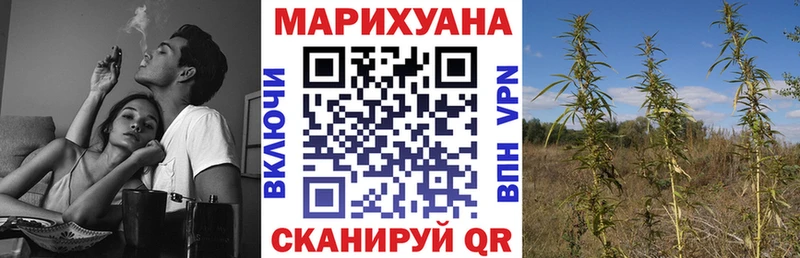 Конопля SATIVA & INDICA Сосновка